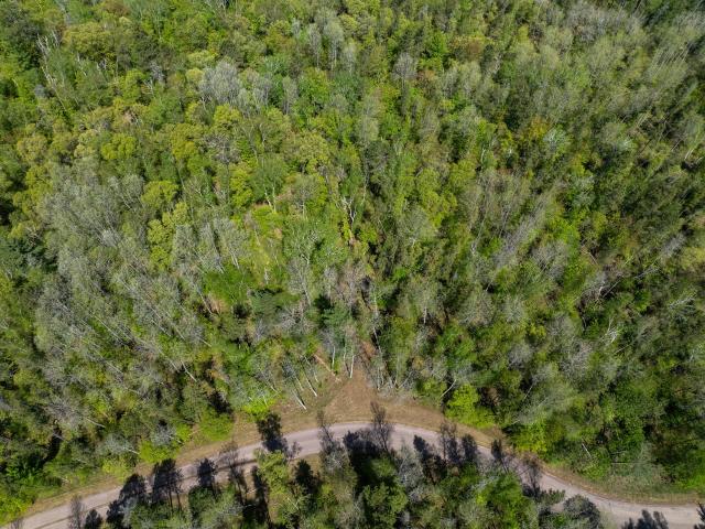 Land for sale in Minnesota