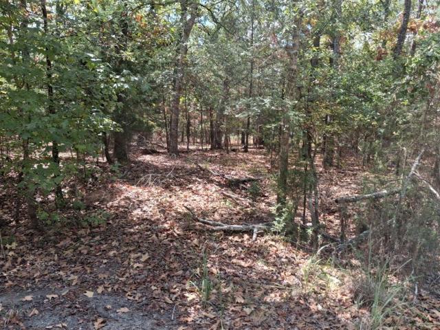 Land for sale in Ben Wheeler, Texas