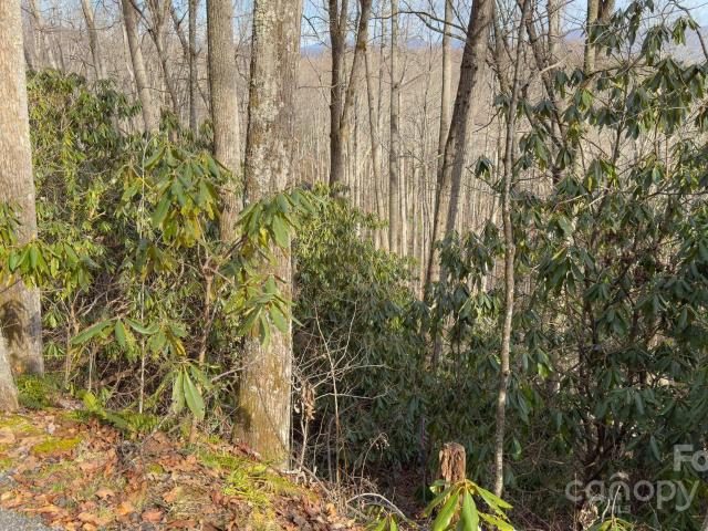 Land for sale in Spruce Pine, North Carolina