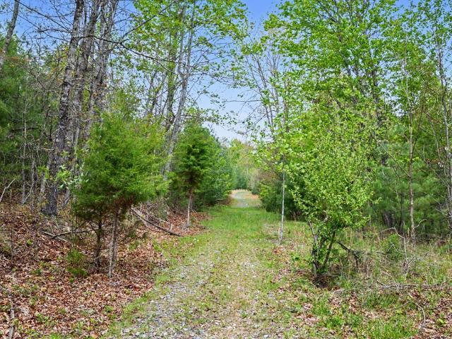 Land for sale in Virginia