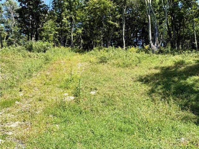 Land for sale in Avery, North Carolina