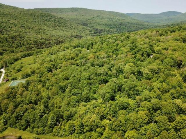 Land for sale in Roscoe, New York