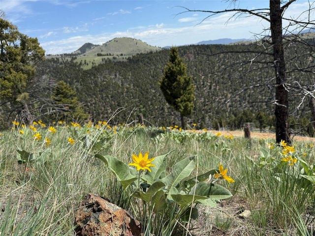 Land for sale in Boulder, Montana