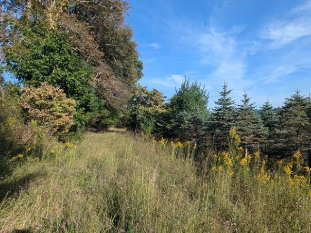 Land for sale in Virginia