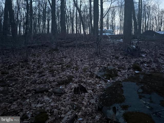 Land for sale in Virginia