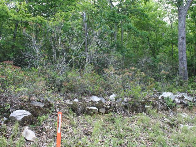 Land for sale in Highland County, Virginia