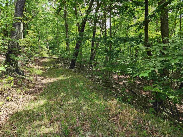 Land for sale in Virginia