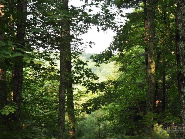 Land for sale in Watauga, North Carolina