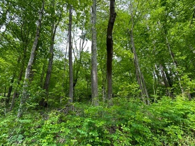 Land for sale in Virginia