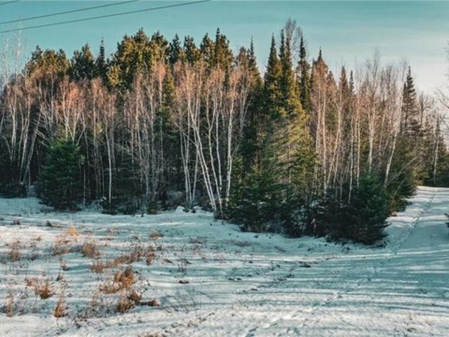 Land for sale in Tower, Minnesota