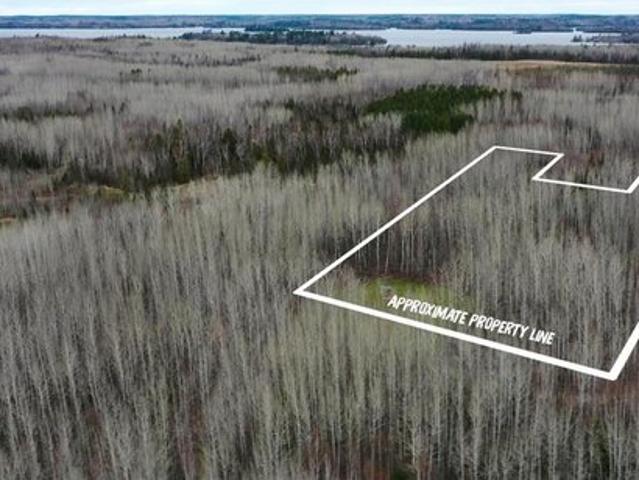 Land for sale in Tower, Minnesota