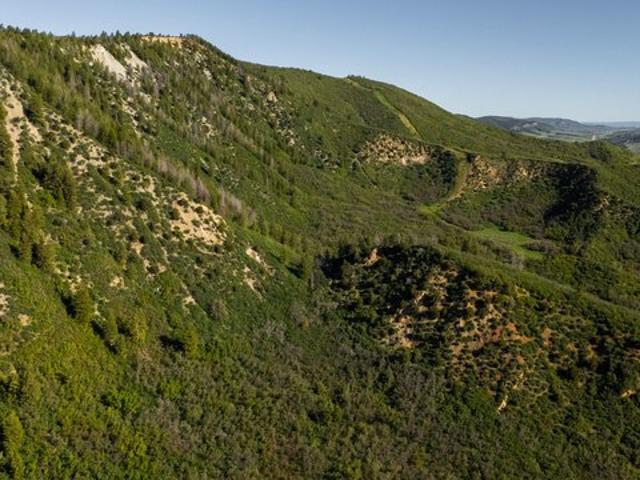 Farm for sale in Rifle, Garfield County