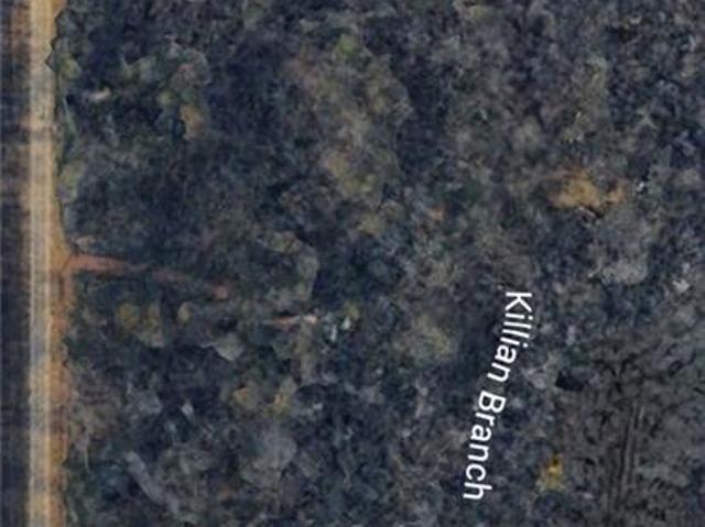 Commercial for sale in Amite, Louisiana