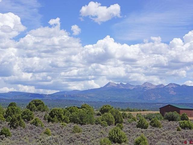Land for sale in Mancos, Montezuma County