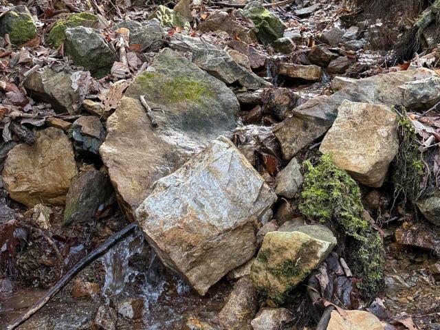 Land for sale in Tennessee