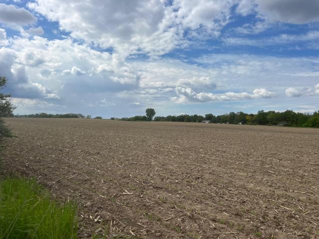 Land for sale in Minnesota