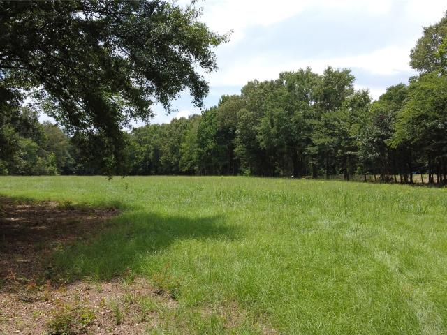 Land for sale in Garrison, Texas