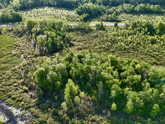 Land for sale in Minnesota