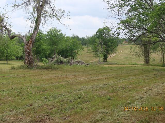 Land for sale in Columbus, Colorado County
