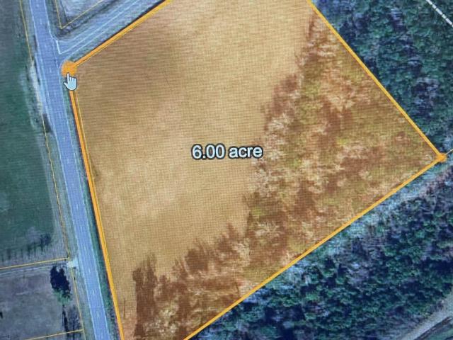 Land for sale in Nichols, South Carolina