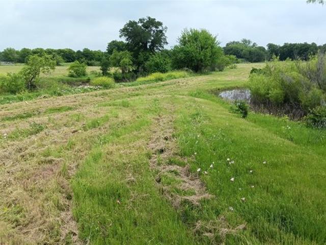 Land for sale in Chilton, Texas
