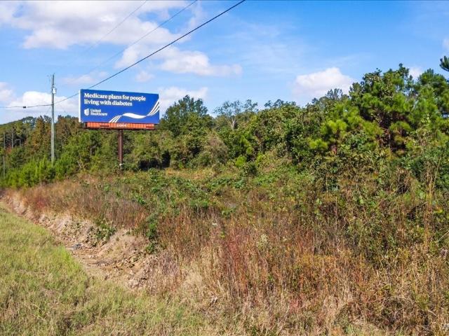 Land for sale in New Brockton, Alabama