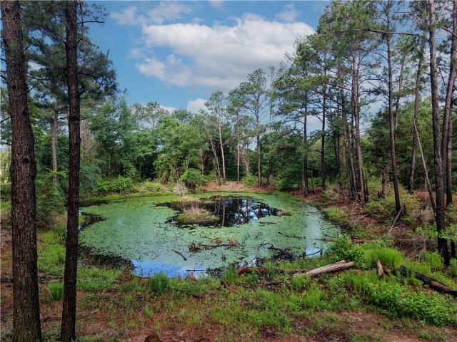 Land for sale in Grimes, Texas
