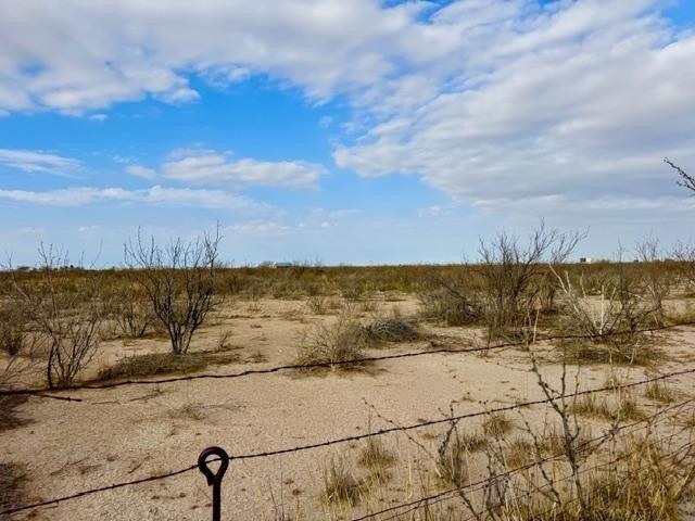Land for sale in Fort Stockton, Texas