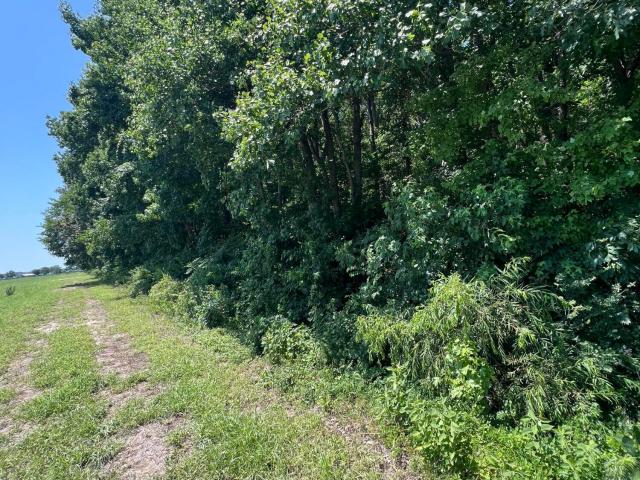 Land for sale in Camden, North Carolina