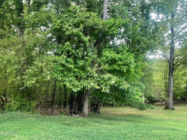 Land for sale in Virginia
