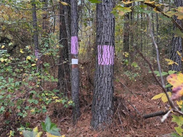 Land for sale in Ark