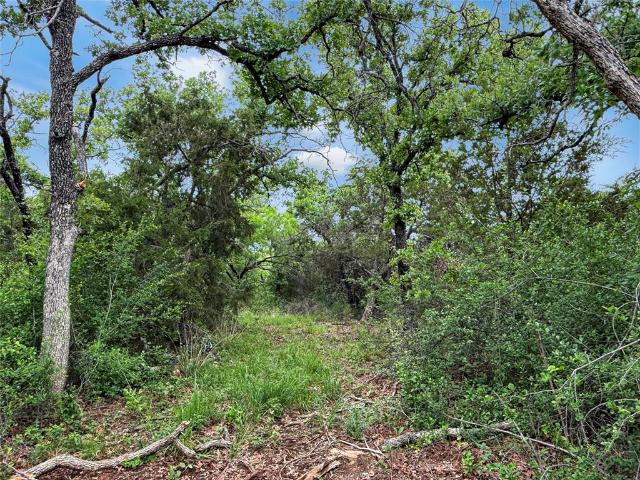 Land for sale in Mingus, Texas