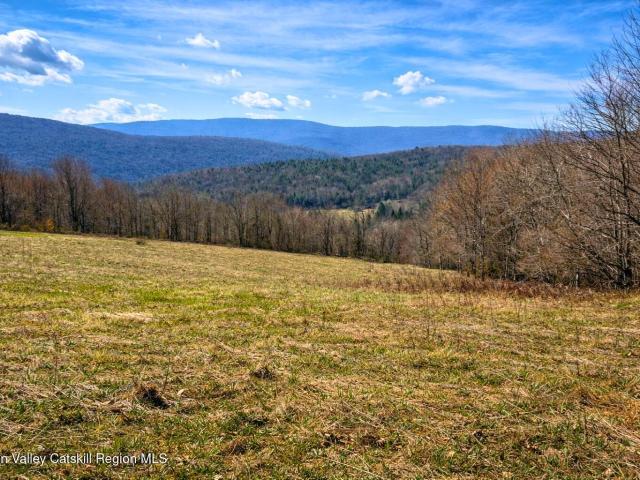 Land for sale in New York