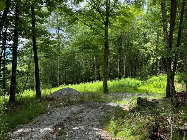Land for sale in Virginia