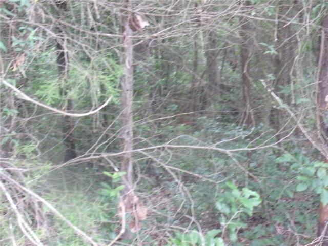 Land for sale in Ben Wheeler, Texas