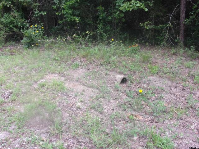 Land for sale in Ben Wheeler, Texas