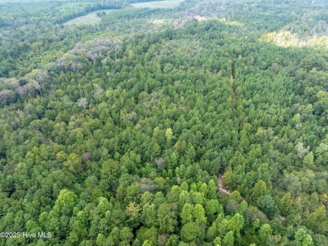 Land for sale in Scotland, North Carolina