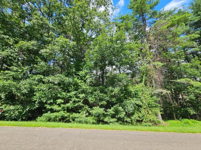 Land for sale in Alleghany, North Carolina
