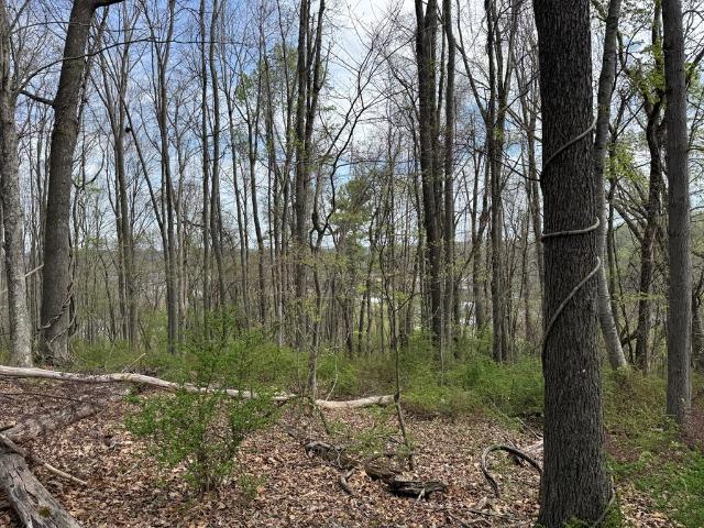 Land for sale in Virginia