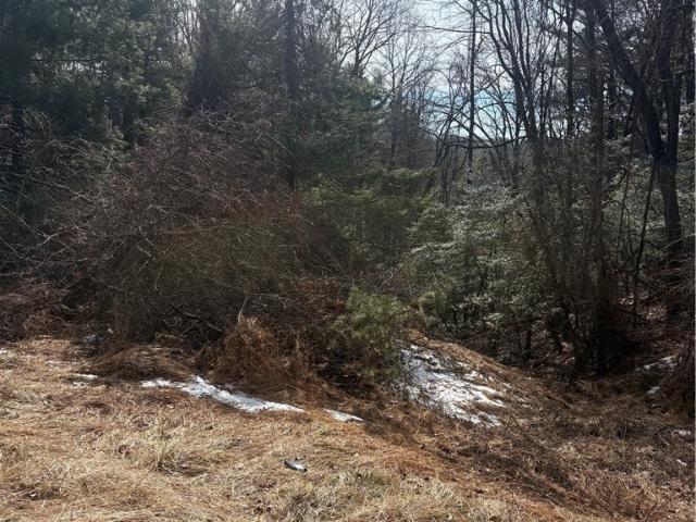 Land for sale in Alleghany, North Carolina