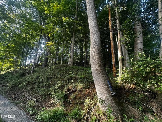 Land for sale in Virginia