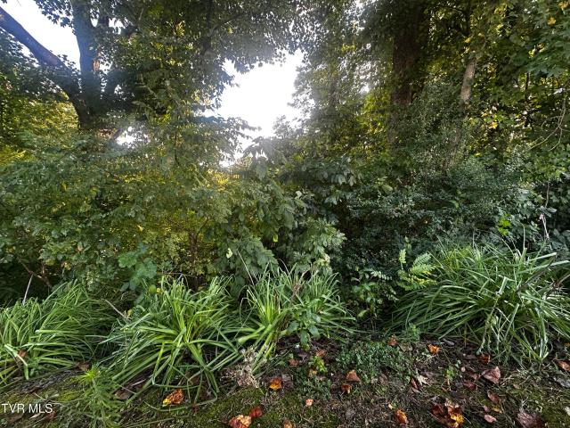 Land for sale in Virginia