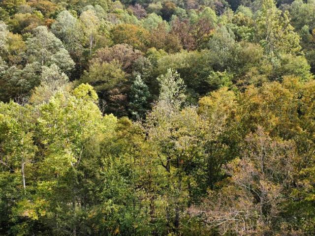 Land for sale in Thomas, Big Rock