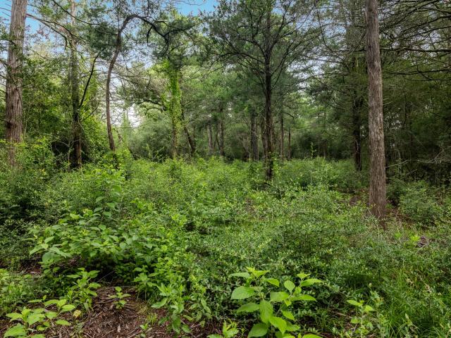 Property for sale in Burton, Texas