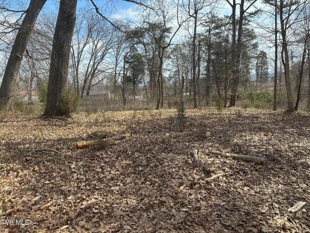 Land for sale in Tennessee