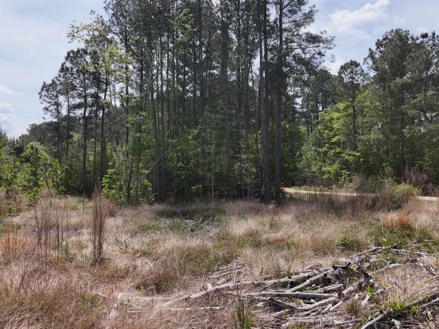 Land for sale in South Carolina