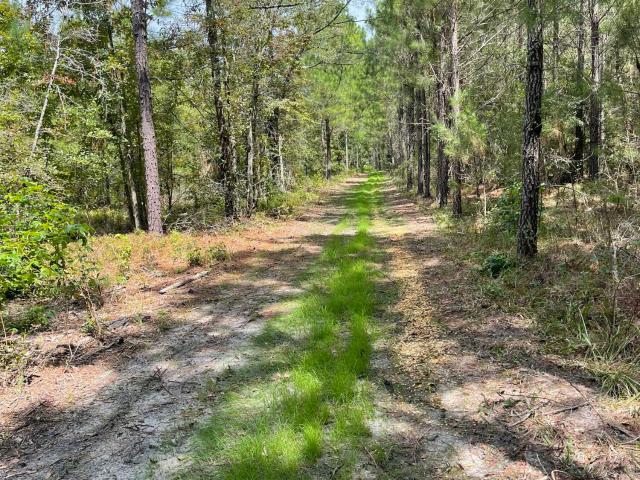 Land for sale in Summerton, South Carolina