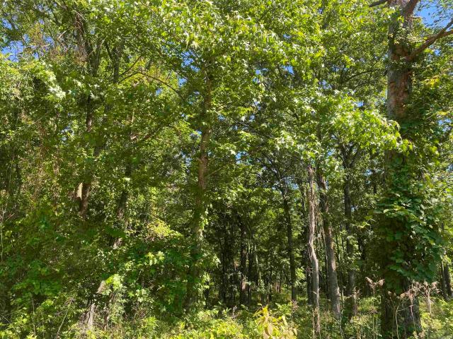Land for sale in Ark