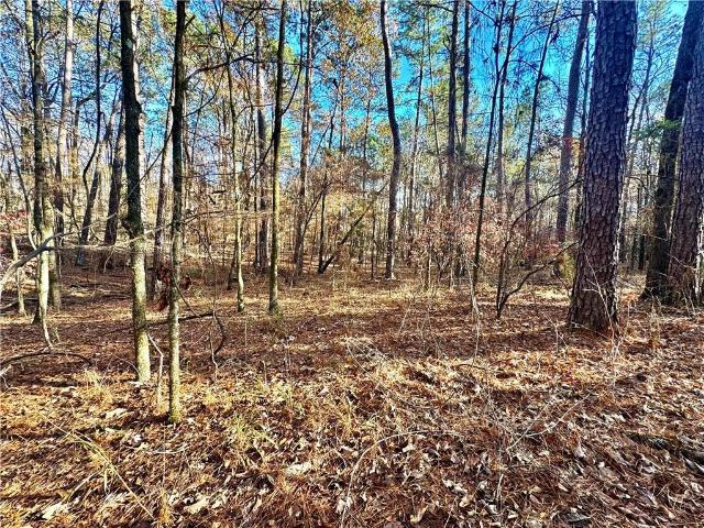 Land for sale in Robeline, Natchitoches Parish