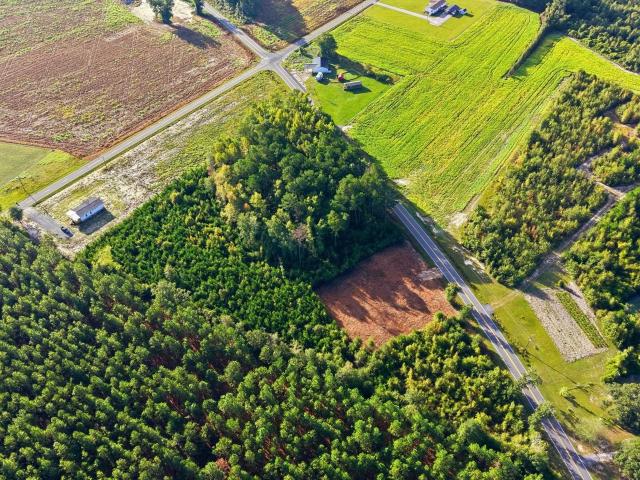 Land for sale in Penderboro, Mullins